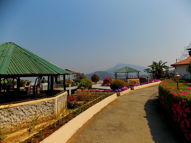 Pine View Nursery
